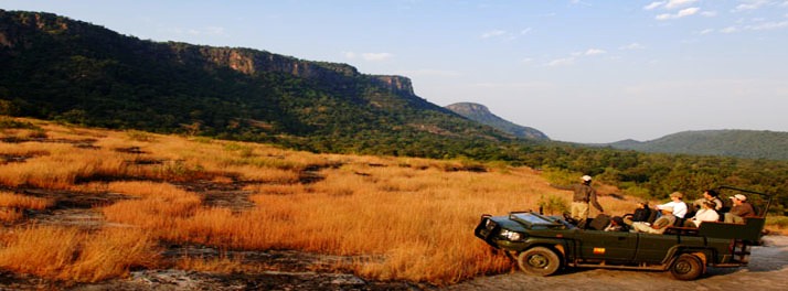 715/Taj Mahua Kothi Bandhavgarh National Park - Umaria 14.jpg